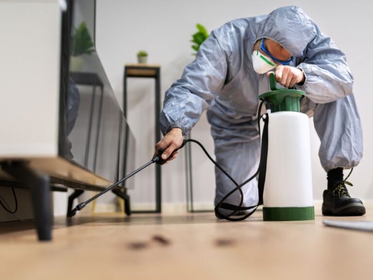 Man applying pest control in home