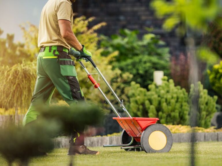 Man spreading fertilizer on lawn